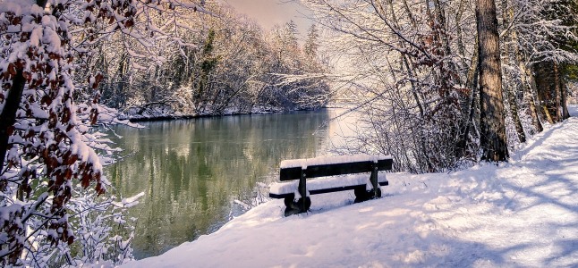 astrologische_monatsvorschau_januar _2022